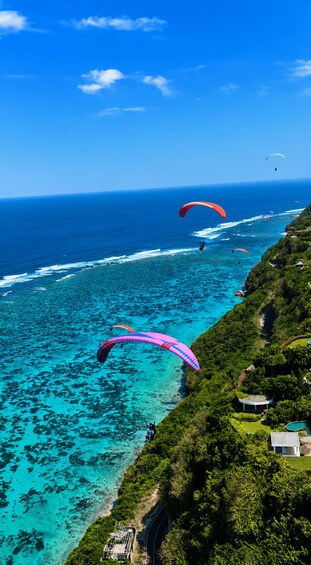 A coastal landscape with clear turquoise waters, a lush green hillside, and several paragliders in flight. 2