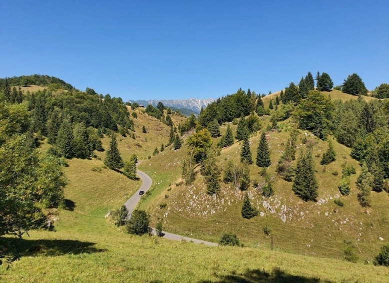 Picture 3 for Activity Explore Romania: E-Bike Adventures in the Mountain Villages 3