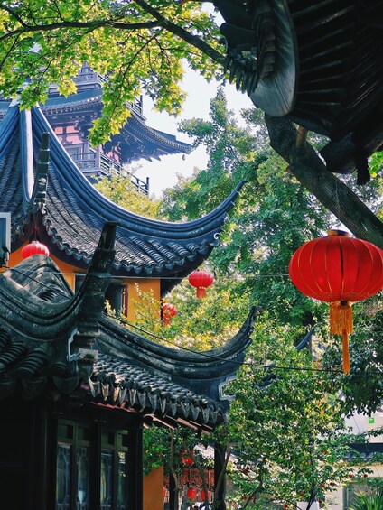 Picture 4 for Activity Suzhou: 2-Day Guided Tour with Hotel & Breakfast 4