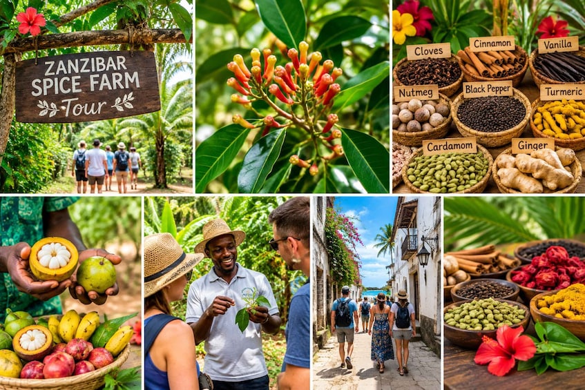 A spice farm, various spices, and local produce. 2