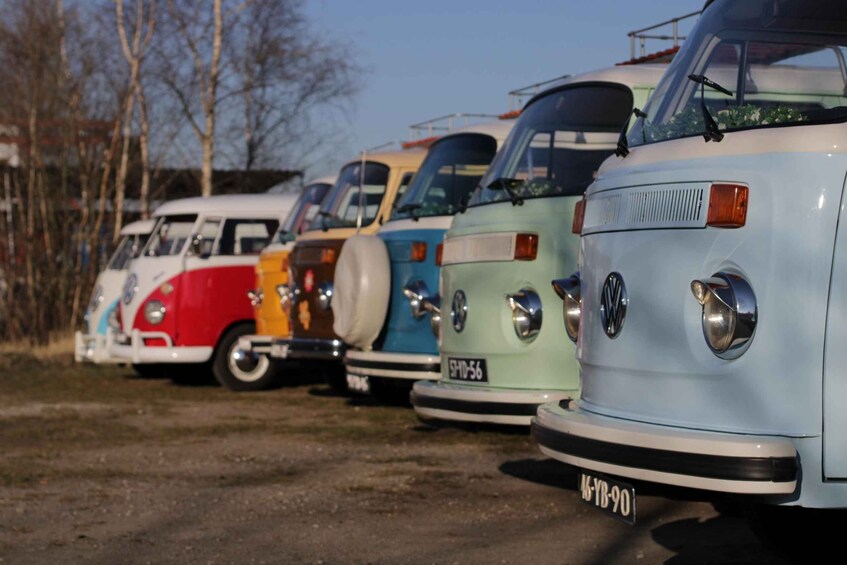 Picture 3 for Activity Hoogblokland: Classic Car Rental with Picnic Basket 5