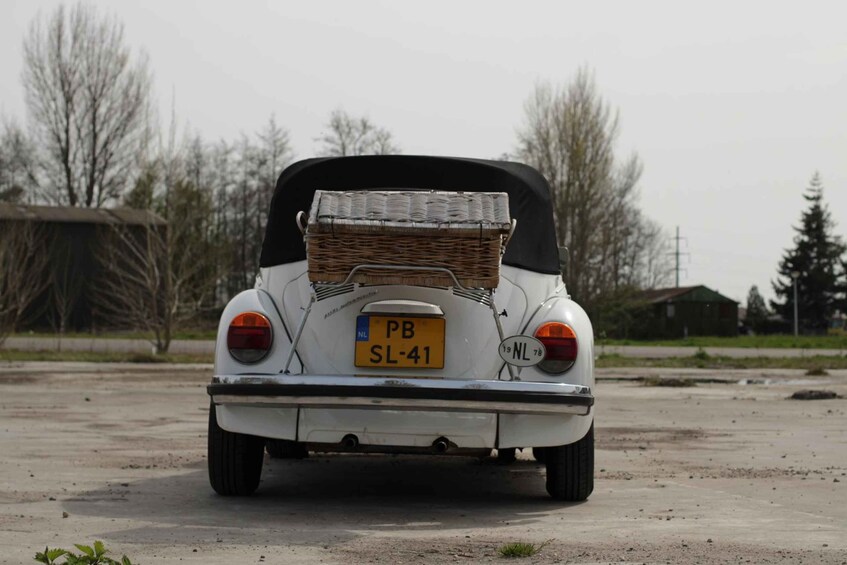 Picture 1 for Activity Hoogblokland: Classic Car Rental with Picnic Basket 2