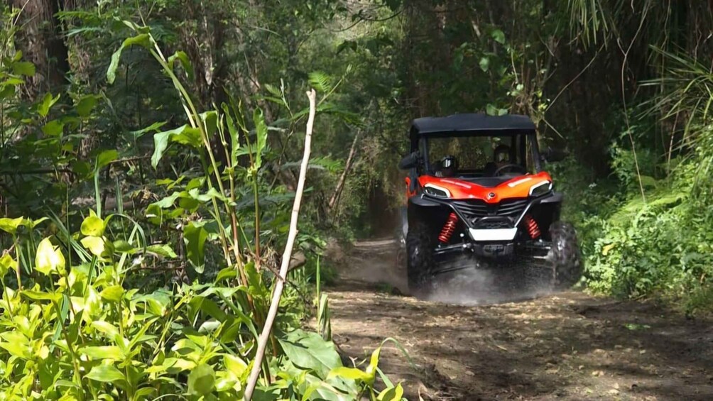 Castelo de Paiva: Arda River Off-Road Buggy Tour 1