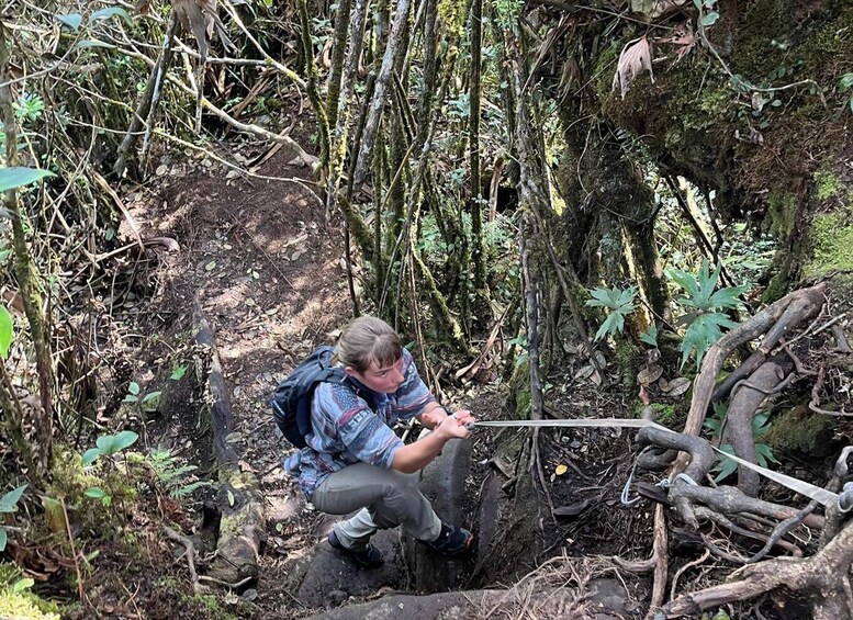 Picture 8 for Activity From Limapuluhkota: Mount Sago Overnight Trekking Adventure 5