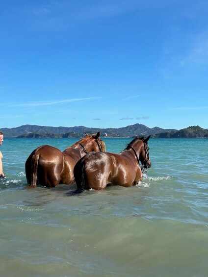 Picture 16 for Activity Guanacaste: Horseback Ride and Swim in the Ocean 3