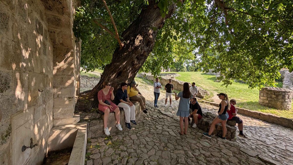 A group of people sitting and standing under a large tree in a historical site with stone walls and ruins. 3