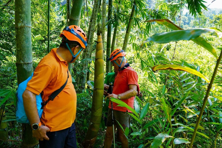 Picture 3 for Activity Group tour - Ba Be Nature Escape 3 days 2 nights 2