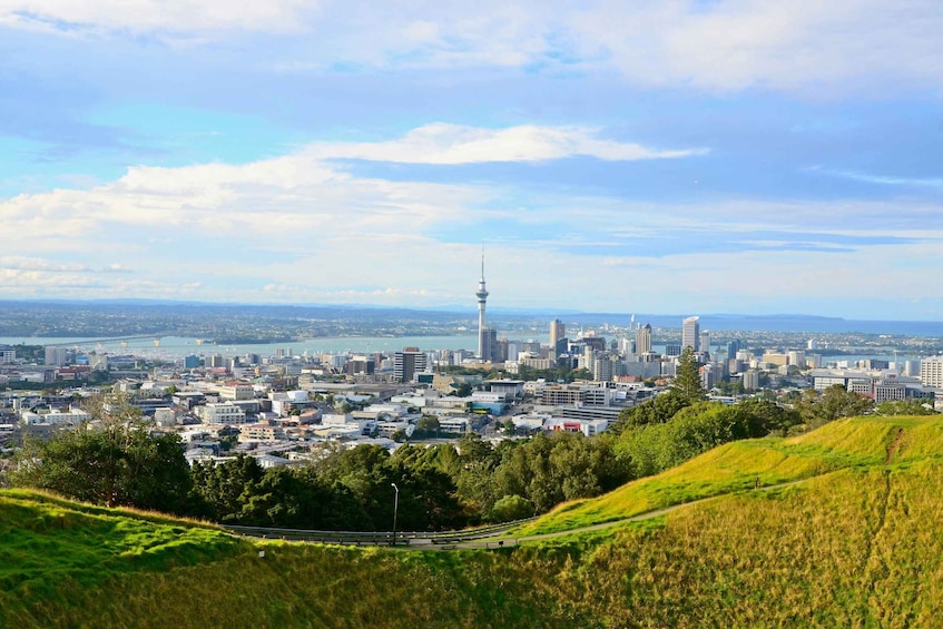 Auckland: Māori Culture Tour with Hāngī Lunch 1