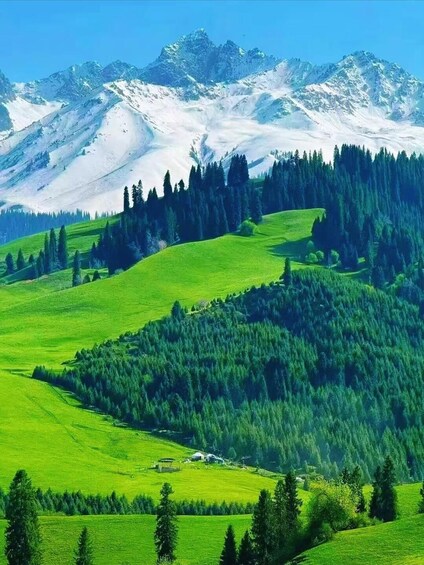 Picture 5 for Activity Urumqi: Tianchi Lake Day Trip with Hotel Pickup 2