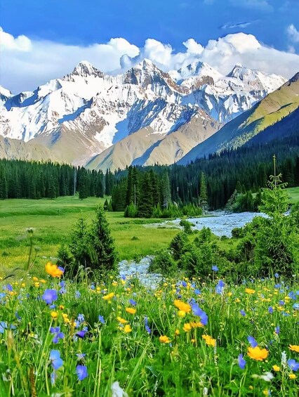 Picture 4 for Activity Urumqi: Tianchi Lake Day Trip with Hotel Pickup 5