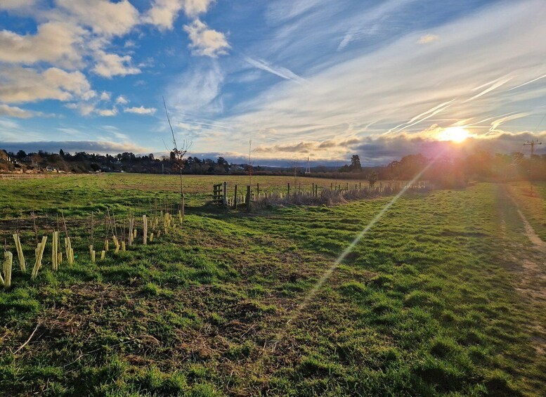 Hereford: Guided Hike to Dinedor Hill 1