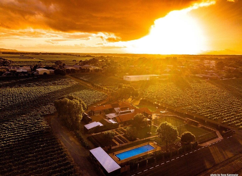 Barossa Valley: Bespoke Elite Wine Tasting Experience 1