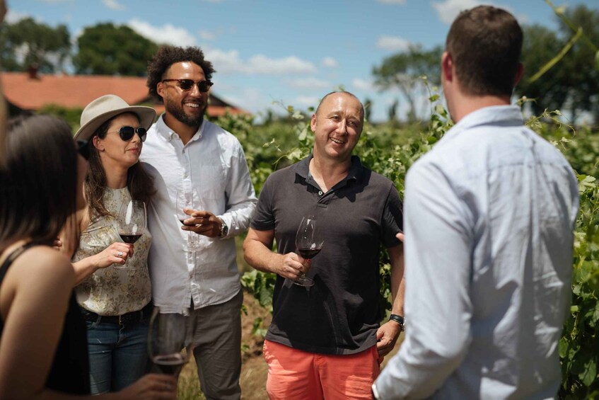 Picture 4 for Activity Barossa Valley: Bespoke Elite Wine Tasting Experience 3