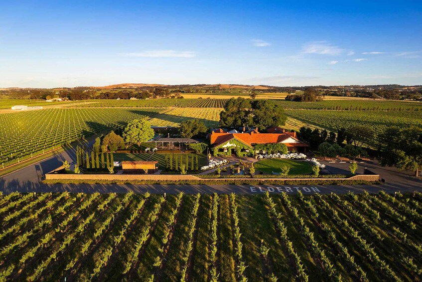 Picture 1 for Activity Barossa Valley: Bespoke Elite Wine Tasting Experience 4