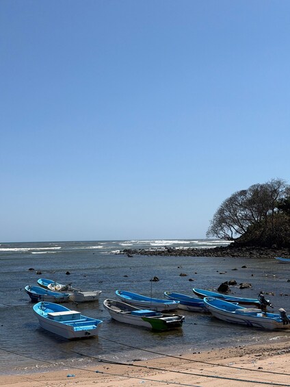 Picture 2 for Activity El Salvador: Tailored Horizons Private Custom Tour 3