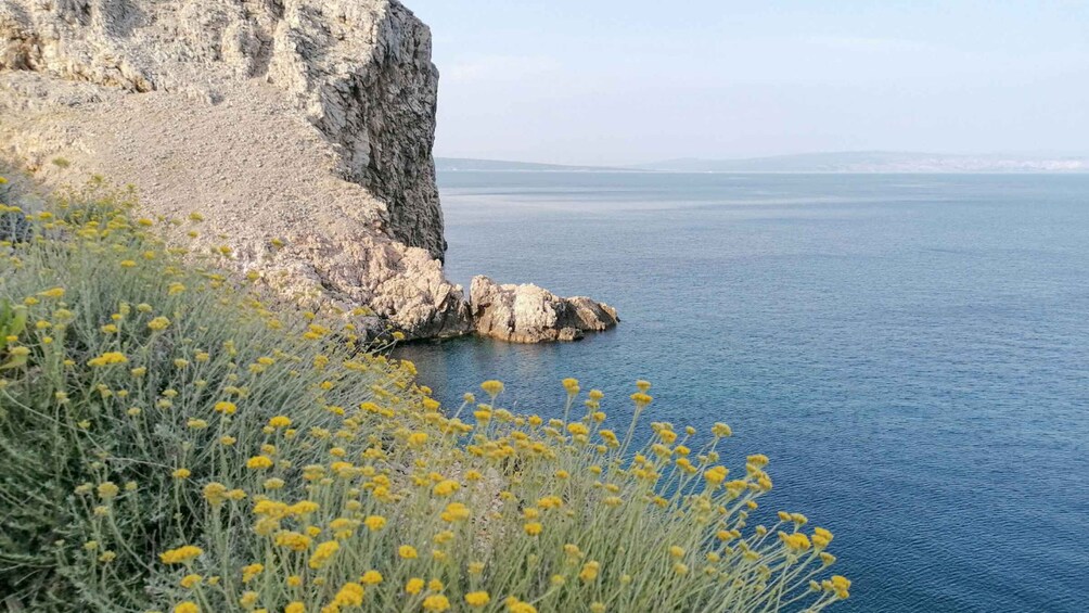 Picture 2 for Activity FRAGRANT ESSENCE OF KVARNER - WELLBEING CEREMONY 2