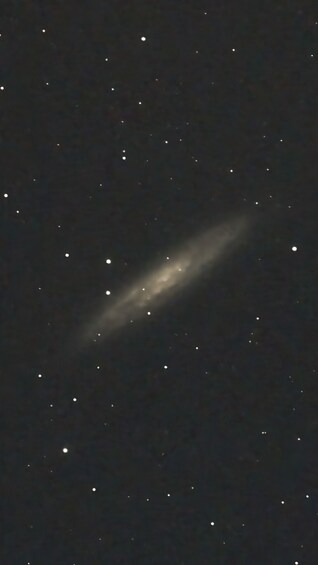 Picture 14 for Activity Perth-Pinnacles Desert: High Tea & Dark Sky Astronomy Tour 4