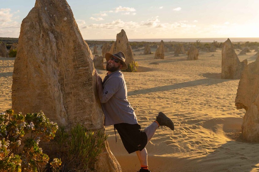 Perth-Pinnacles Desert: High Tea & Dark Sky Astronomy Tour 1