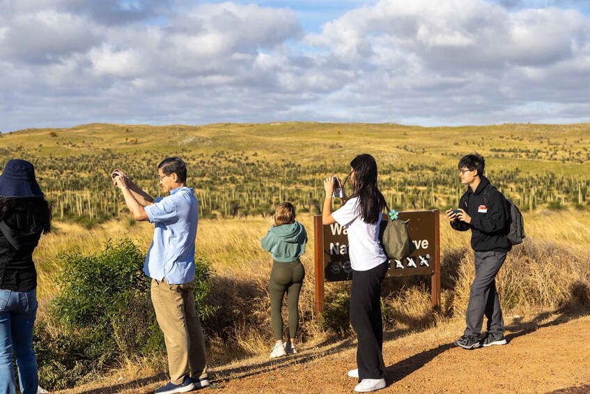 Picture 4 for Activity Perth-Pinnacles Desert: High Tea & Dark Sky Astronomy Tour 1