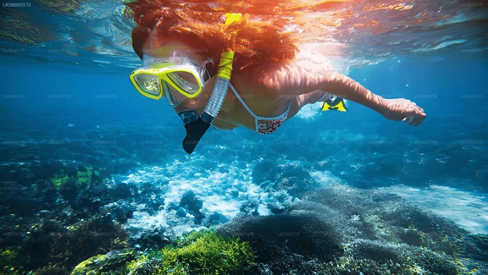 Pasikudah: Elephant Rock Reef Snorkeling Excursion 1