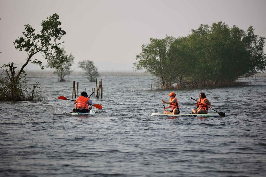 Picture 3 for Activity Tam Giang Lagon Sunset Tour 3