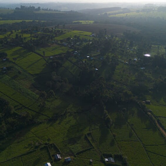 Picture 4 for Activity Nandi Hills: Guided Tour with Museum & Gardens Entry 5