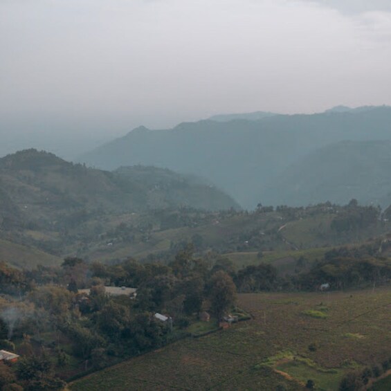 Nandi Hills: Guided Tour with Museum & Gardens Entry 1
