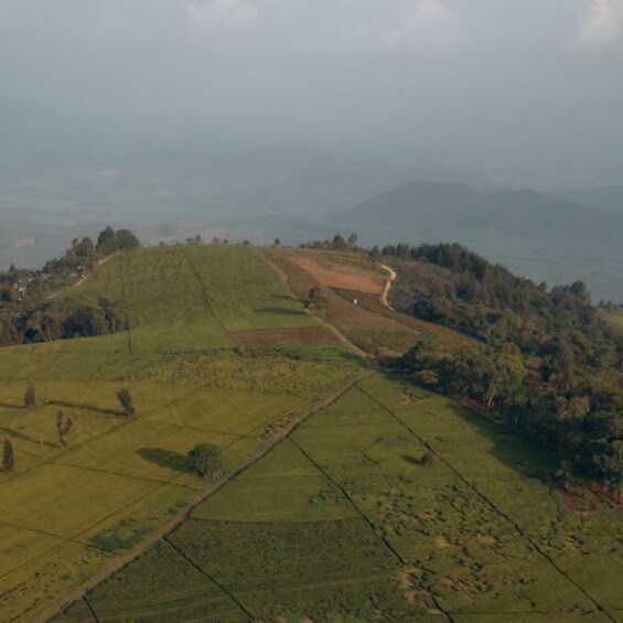 Picture 5 for Activity Nandi Hills: Guided Tour with Museum & Gardens Entry 4