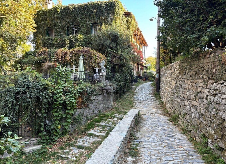 A cobblestone alley flanked by stone walls and lush greenery, leading to a building partially covered in ivy. 3