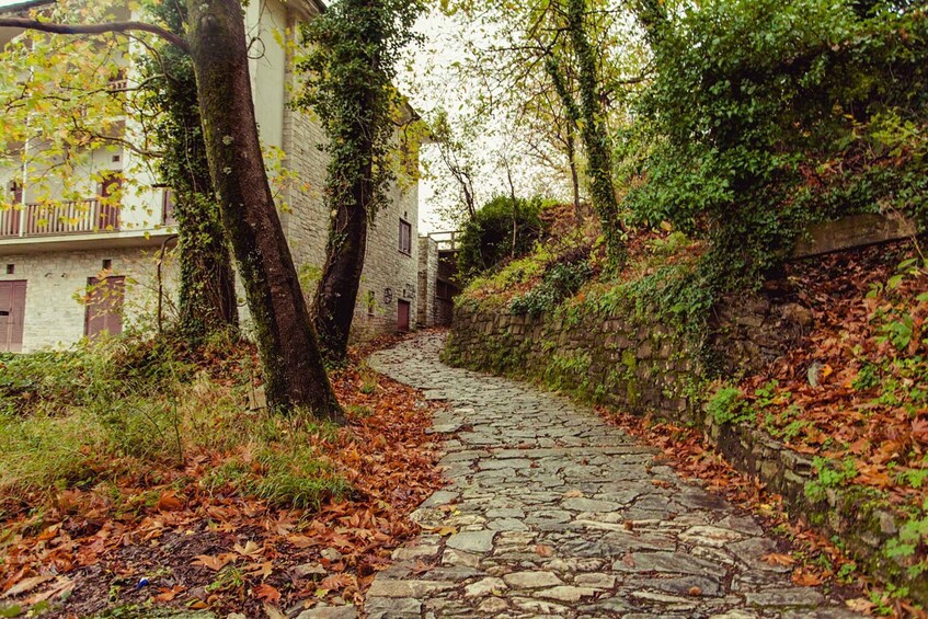 A stone pathway flanked by trees and a building with ivy. 4