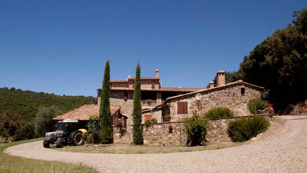 Picture 3 for Activity Montalcino: Wine Tasting at Sesta di Sopra Family Run Winery 1