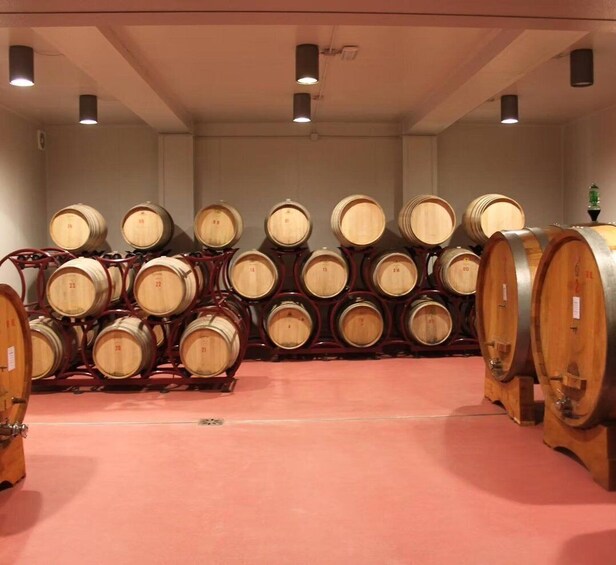 Picture 1 for Activity Montalcino: Wine Tasting at Sesta di Sopra Family Run Winery 3