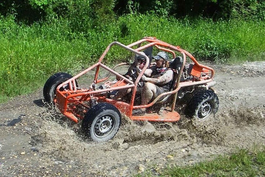 Picture 5 for Activity Private Puerto Plata Buggy Tour with Beach Stop & Tastings 2