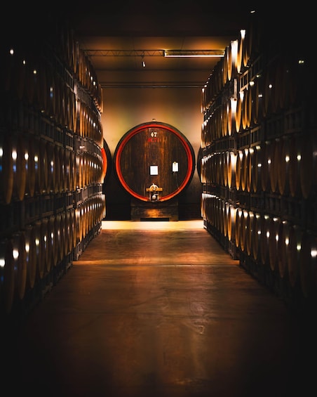 Roberto Sarotto: Winery Tour with Wine Tasting 1