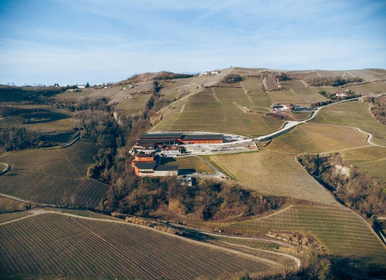 Picture 3 for Activity Roberto Sarotto: Winery Tour with Wine Tasting 5