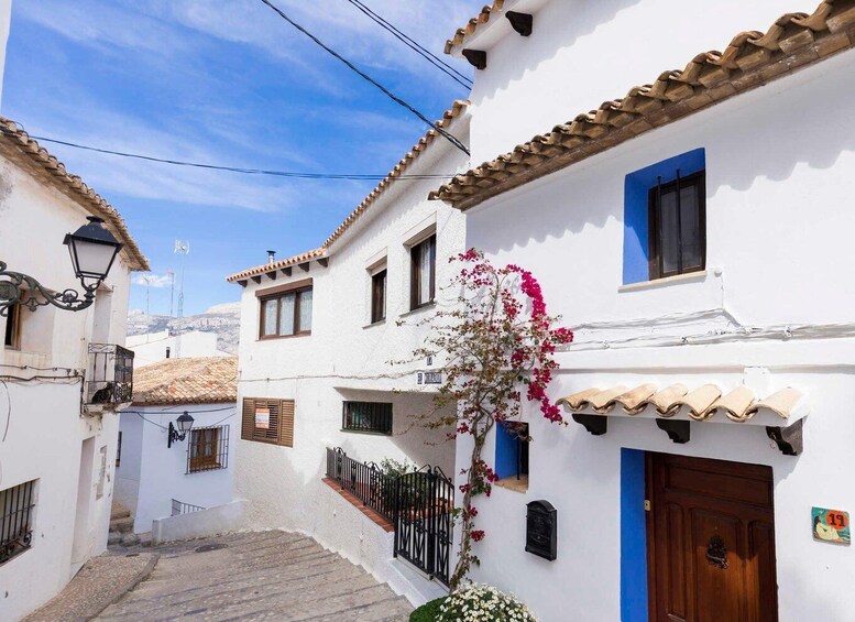 A narrow street with white buildings, blue doors, and a red flowering plant. 3