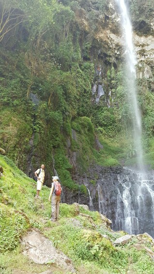 Picture 2 for Activity Moshi: Guided Waterfall Hike with Local Stories 2