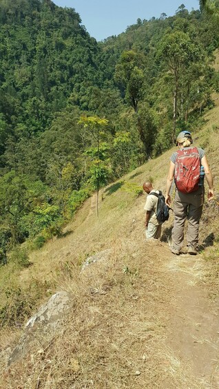 Picture 5 for Activity Moshi: Guided Waterfall Hike with Local Stories 4
