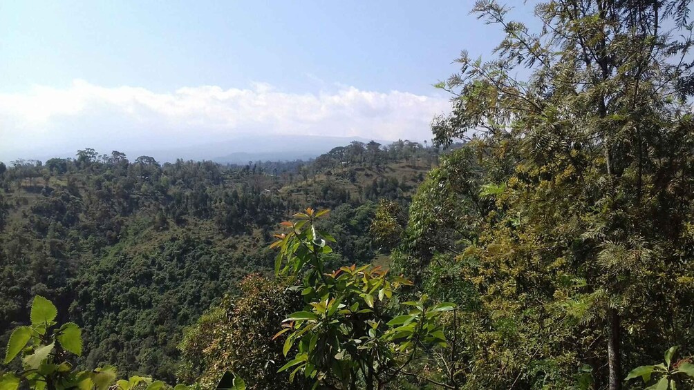 Moshi: Guided Waterfall Hike with Local Stories 1