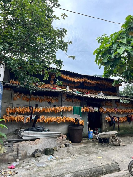 A rural market stall with bananas hanging on the wall and a wheelbarrow on the ground. 4