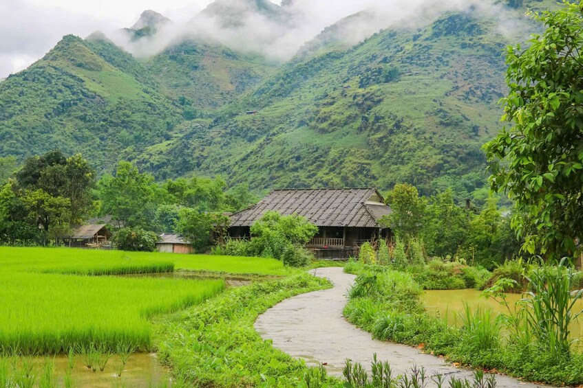 A rural landscape with a winding path, lush green fields, and traditional houses. 5