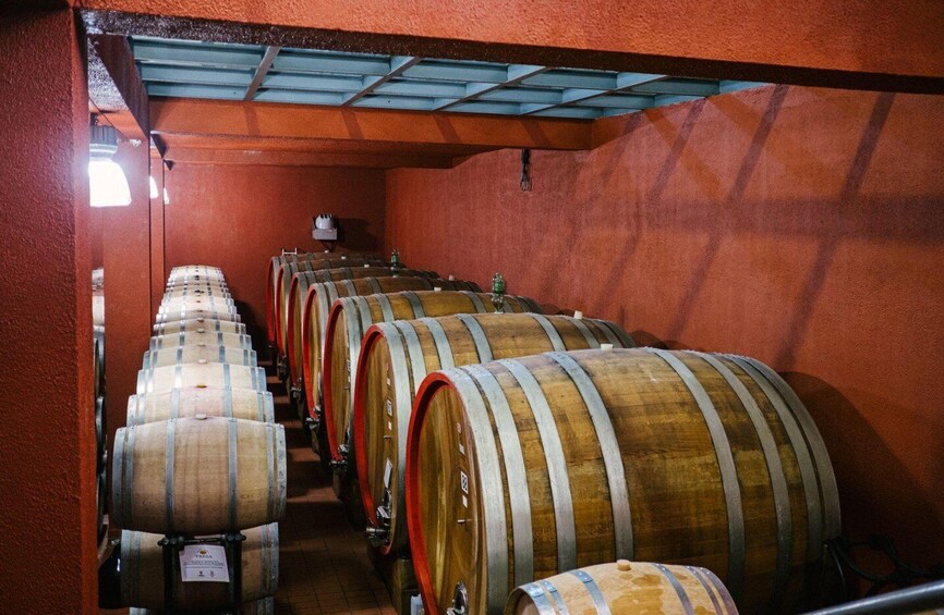 Picture 7 for Activity Organic Winery Tour, Wine Tasting & Light Lunch near Ragusa 2