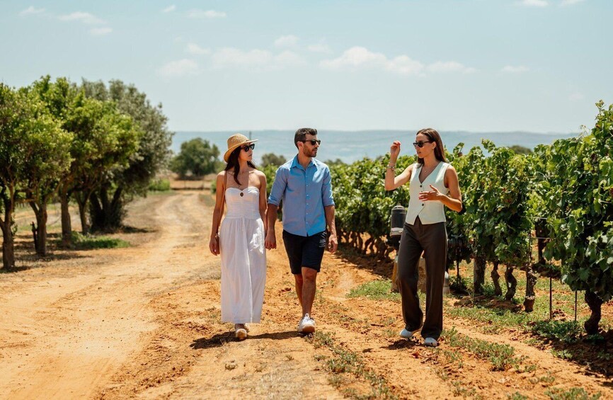Picture 6 for Activity Organic Winery Tour, Wine Tasting & Light Lunch near Ragusa 3