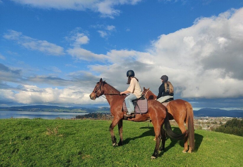 Picture 4 for Activity 90 minute scenic horse trek with picnic overlooking Rotorua 4