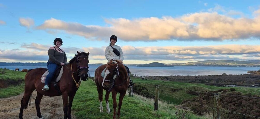 Picture 1 for Activity 90 minute scenic horse trek with picnic overlooking Rotorua 5