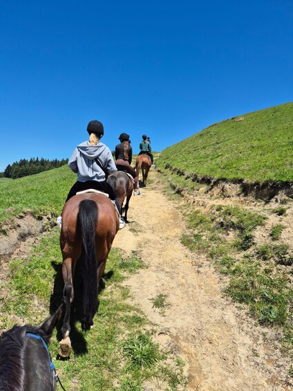 Picture 3 for Activity 90 minute scenic horse trek with picnic overlooking Rotorua 3