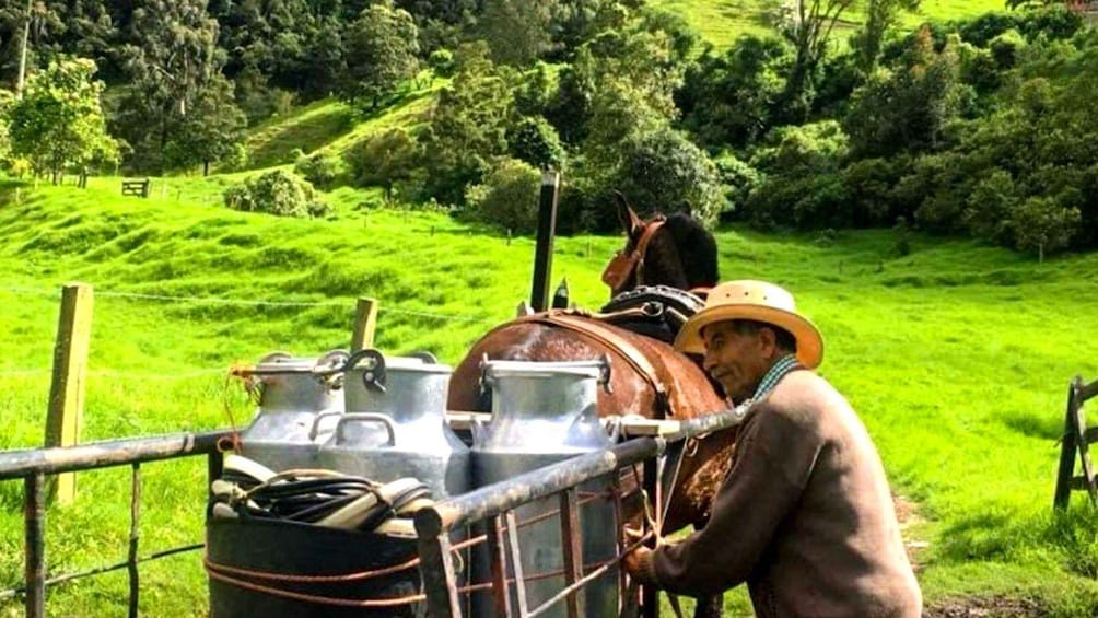 Picture 1 for Activity Cocora Valley: Dairy Farm Tour with Yogurt Workshop 3