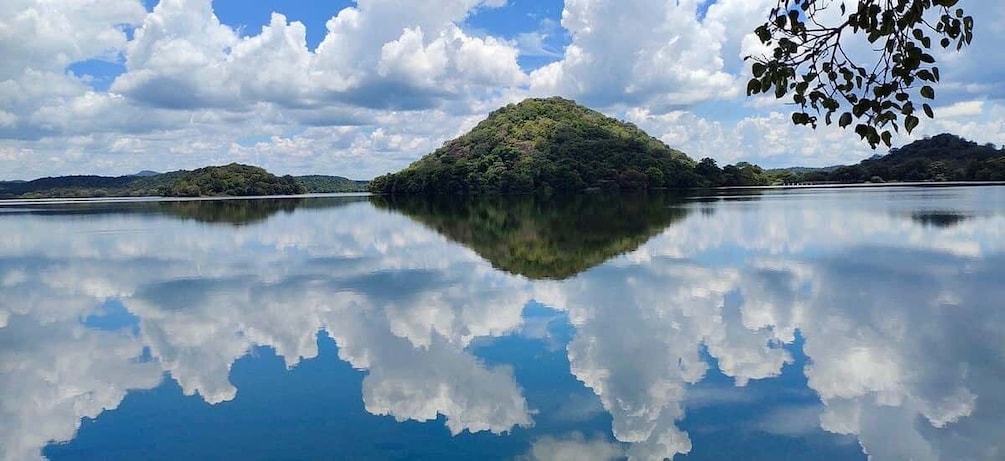 Picture 8 for Activity Sigiriya: Polonnaruwa & Minneriya Wild Elephant Safari Tour 1