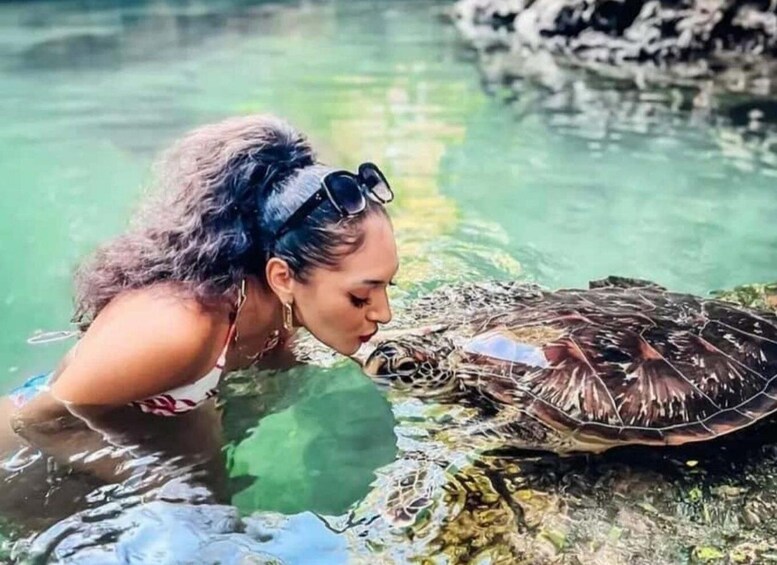 A person interacting with a turtle in a clear body of water. 1