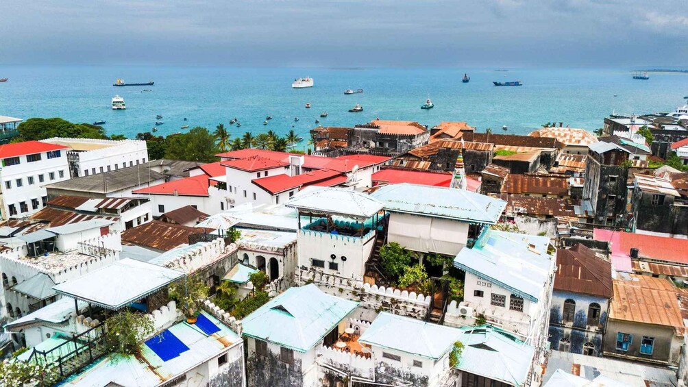 A coastal cityscape with a mix of traditional and modern architecture, dense urban buildings, and a marina with various boats. 4
